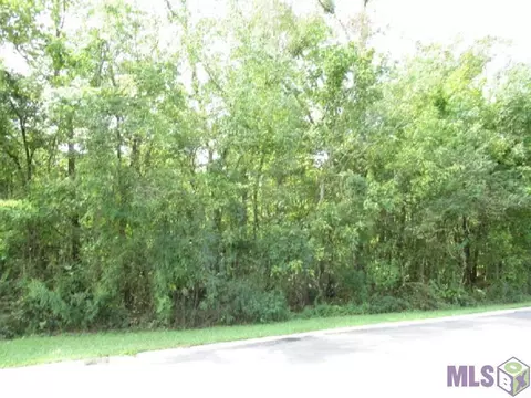 lot118 River Highlands, St Amant, LA 70744