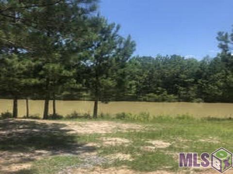 23816 Monarch Pt, Springfield, LA 70462 photo 1