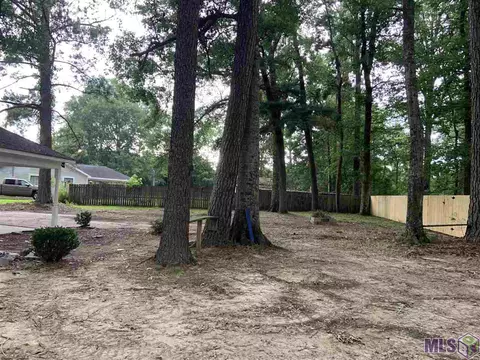 29400 Peggy Dr, Walker, LA 70785 photo 12