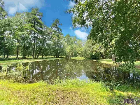 12030 Cardinal Dr, Walker, LA 70785 photo 3