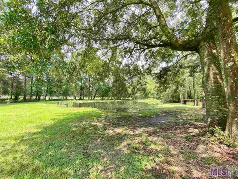 12030 Cardinal Dr, Walker, LA 70785 photo 39