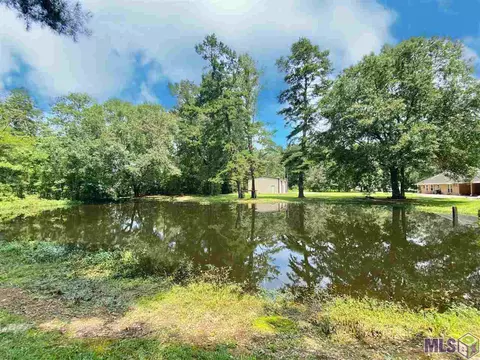 12030 Cardinal Dr, Walker, LA 70785 photo 37