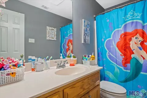 32405 Butch Bennett Rd, Walker, LA 70785 photo 6