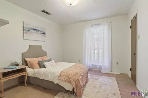 29676 Tulip St, Walker, LA 70785 photo 13