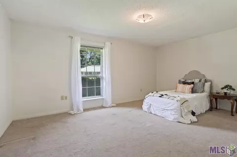 29676 Tulip St, Walker, LA 70785 photo 14