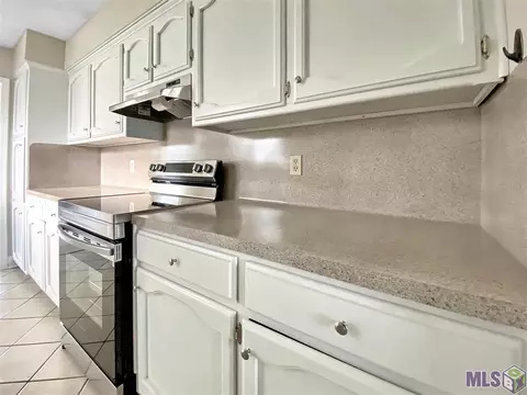13677 Ball Park Rd, Walker, LA 70785 photo 9