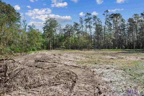 29056 Red Oak Dr, Walker, LA 70785