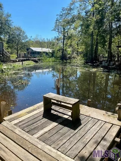 13561 Petite Dr, Maurepas, LA 70449 photo 1