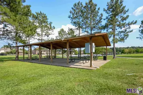 34254 Spring Lake Dr, Walker, LA 70785 photo 26