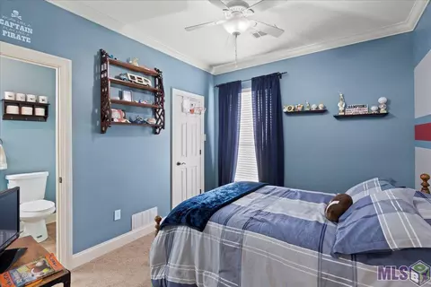 34254 Spring Lake Dr, Walker, LA 70785 photo 14