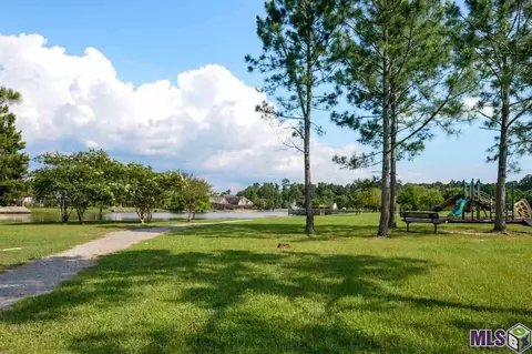 34254 Spring Lake Dr, Walker, LA 70785 photo 25
