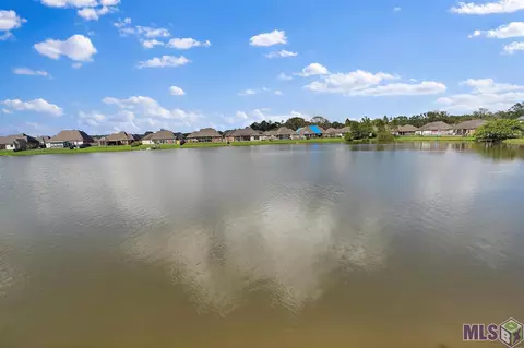 13375 Williamsburg Dr, Walker, LA 70785 photo 15