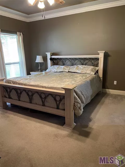 11360 Peaks Ave, Walker, LA 70785 photo 12