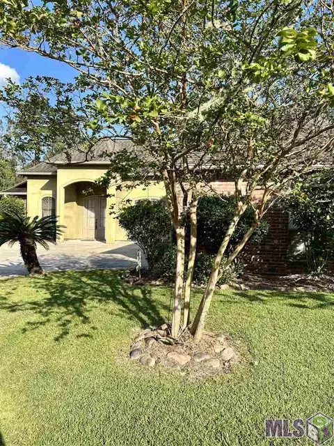 11360 Peaks Ave, Walker, LA 70785 photo 2