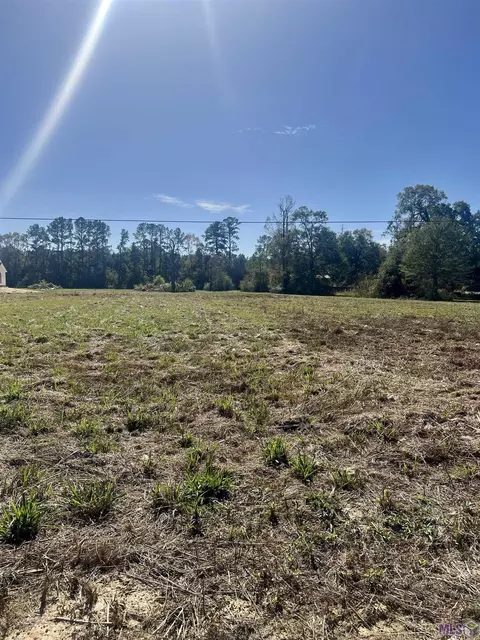 Cc-2-a & B Herman Ernest Dr, Denham Springs, LA 70706