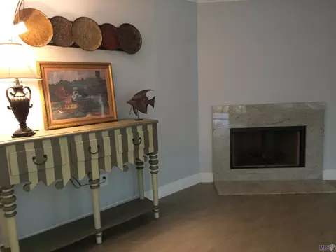 20320 Patricia St, Springfield, LA 70462 photo 17