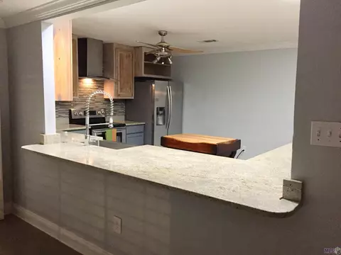 20320 Patricia St, Springfield, LA 70462 photo 15