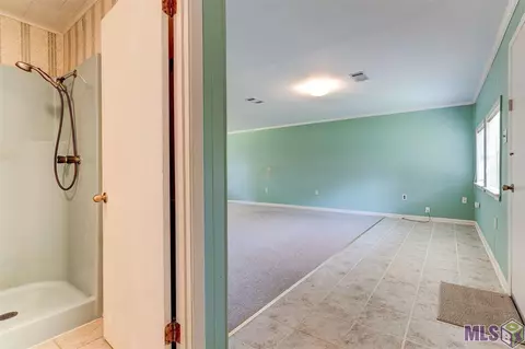 30780 Lower Rome Rd, Springfield, LA 70462 photo 22
