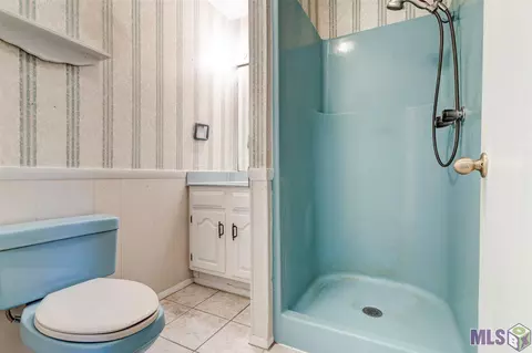 30780 Lower Rome Rd, Springfield, LA 70462 photo 21