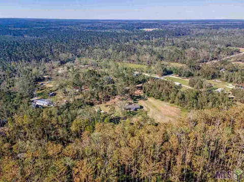 30780 Lower Rome Rd, Springfield, LA 70462 photo 30