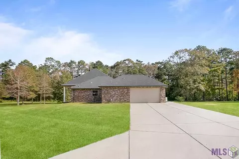 14100 Springfield Rd, Walker, LA 70785 photo 9