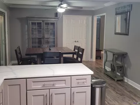 11770 Colyell Dr, Walker, LA 70785 photo 7