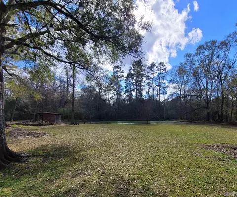 11770 Colyell Dr, Walker, LA 70785 photo 10