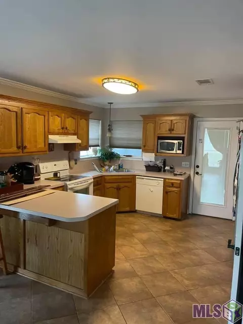 13596 Prairie Ln, Walker, LA 70785 photo 3