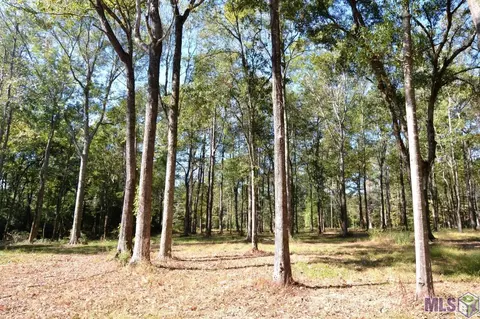 lot3 B-1 Old Laurel Hill Rd, Saint Francisville, LA 70775
