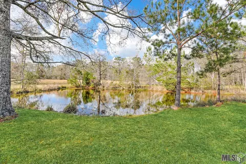 17075 E Bell Rd, Amite, LA 70422 photo 25