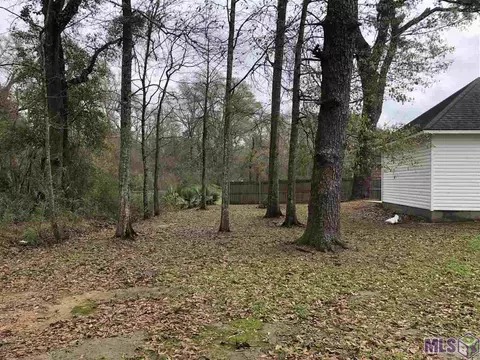 14169 Meadow Brook Ln, Walker, LA 70785 photo 16