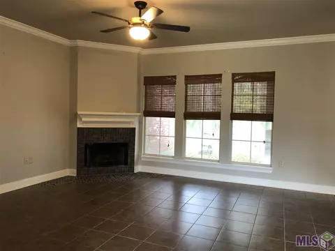 14169 Meadow Brook Ln, Walker, LA 70785 photo 3