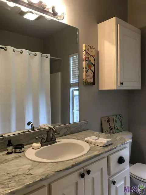 14169 Meadow Brook Ln, Walker, LA 70785 photo 11