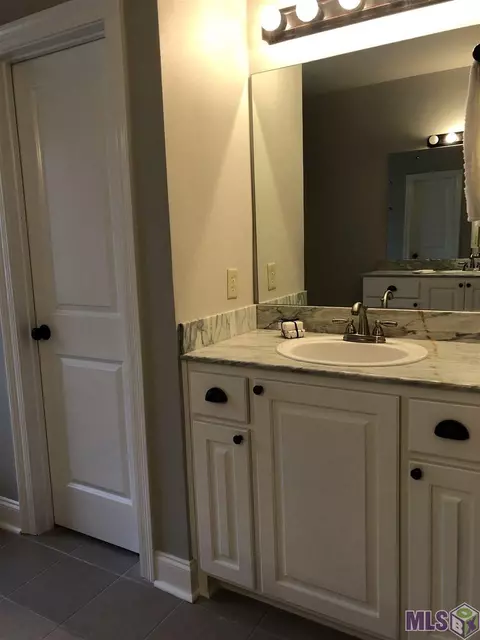 14169 Meadow Brook Ln, Walker, LA 70785 photo 8