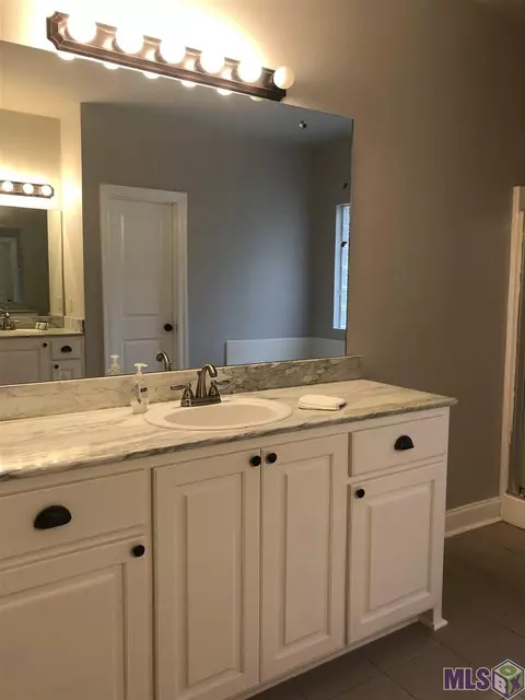 14169 Meadow Brook Ln, Walker, LA 70785 photo 7
