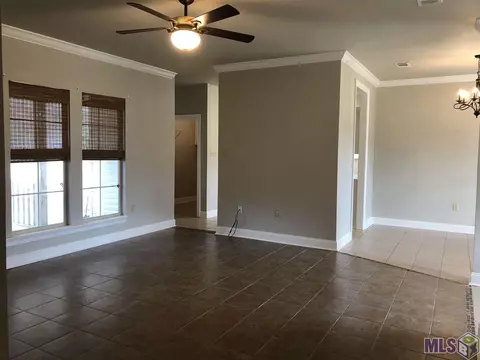 14169 Meadow Brook Ln, Walker, LA 70785 photo 4