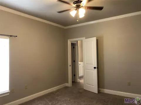 14169 Meadow Brook Ln, Walker, LA 70785 photo 6