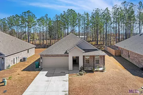 34876 Spring Trails Dr, Walker, LA 70785 photo 11