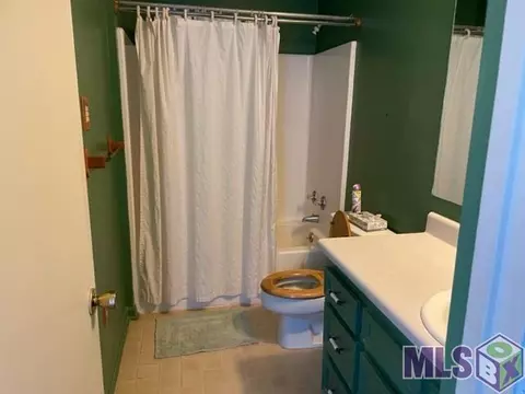 31450 River Pines Dr, Springfield, LA 70462 photo 8