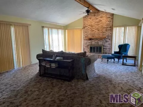 31450 River Pines Dr, Springfield, LA 70462 photo 5