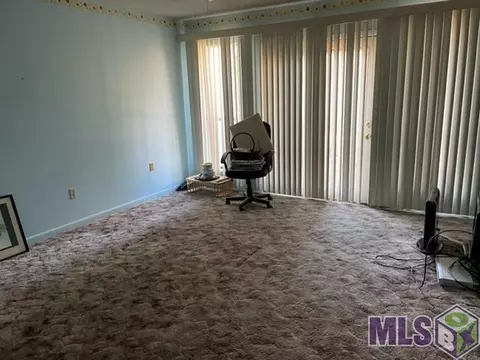 31450 River Pines Dr, Springfield, LA 70462 photo 6