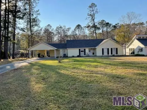 31450 River Pines Dr, Springfield, LA 70462 photo 1