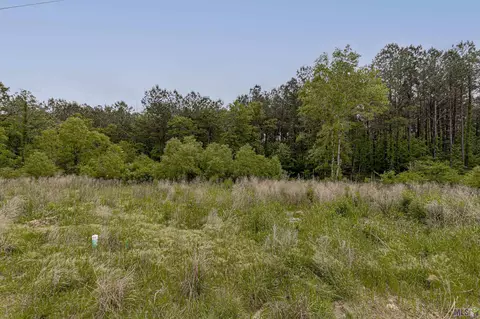lot5 B Texas St, Livingston, LA 70754
