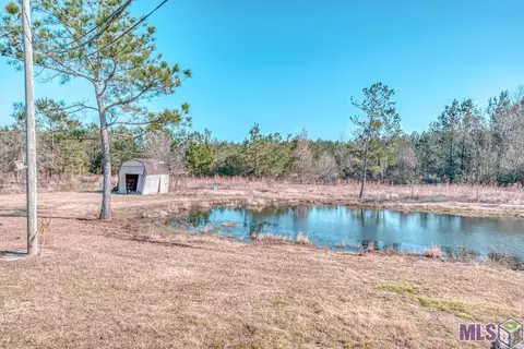 28362 Wagner Dr, Albany, LA 70711 photo 12
