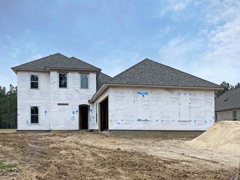 30721 Bluewing Cres, Springfield, LA 70462 photo 1
