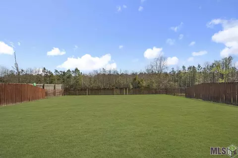 12734 Darby Dr, Walker, LA 70785 photo 20