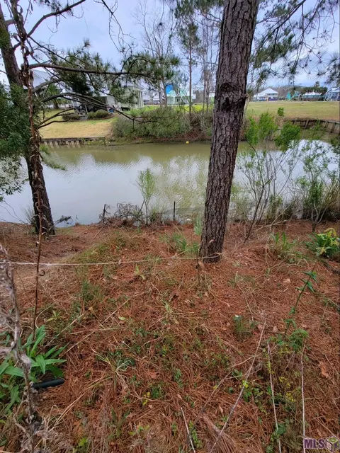 17138 Tchula Dr, Springfield, LA 70426 photo 3