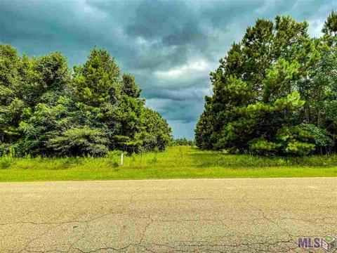12968 Thoroughbred Ln, Walker, LA 70785 photo 1