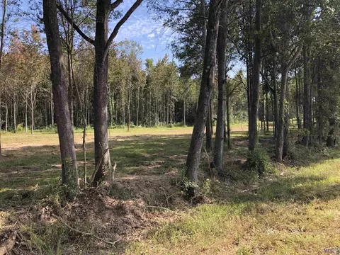 1629 Midway Rd, Slaughter, LA 70777