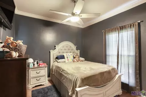 13038 N Ridge Dr, Walker, LA 70785 photo 15